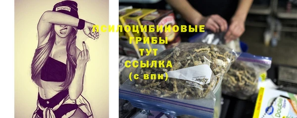 таблы Михайлов
